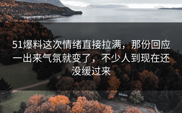 51爆料这次情绪直接拉满，那份回应一出来气氛就变了，不少人到现在还没缓过来