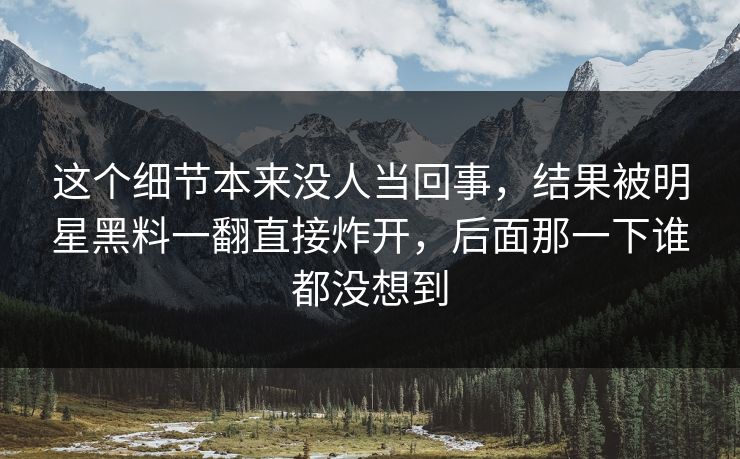 这个细节本来没人当回事,结果被明星黑料一翻直接炸开,后面那一下谁都没想到 这个细节本来没人当回事,结果被明星黑料一翻直接炸开,后面那一下谁都没想到